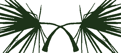 palmtrees logo