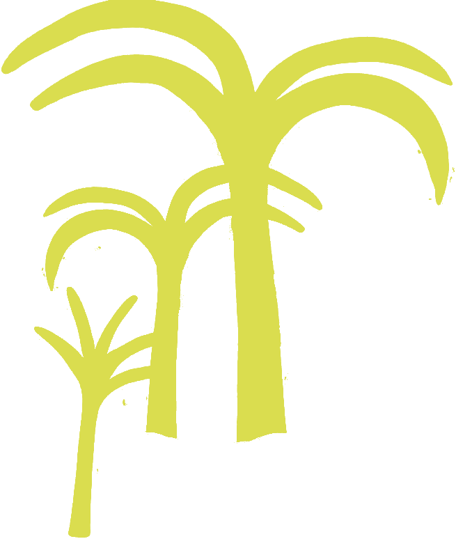 palmtrees