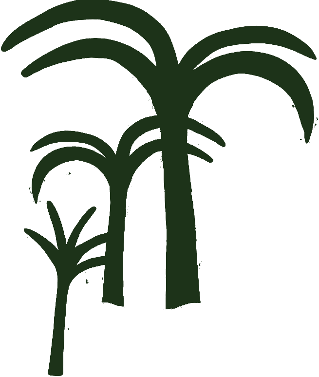 palmtrees logo